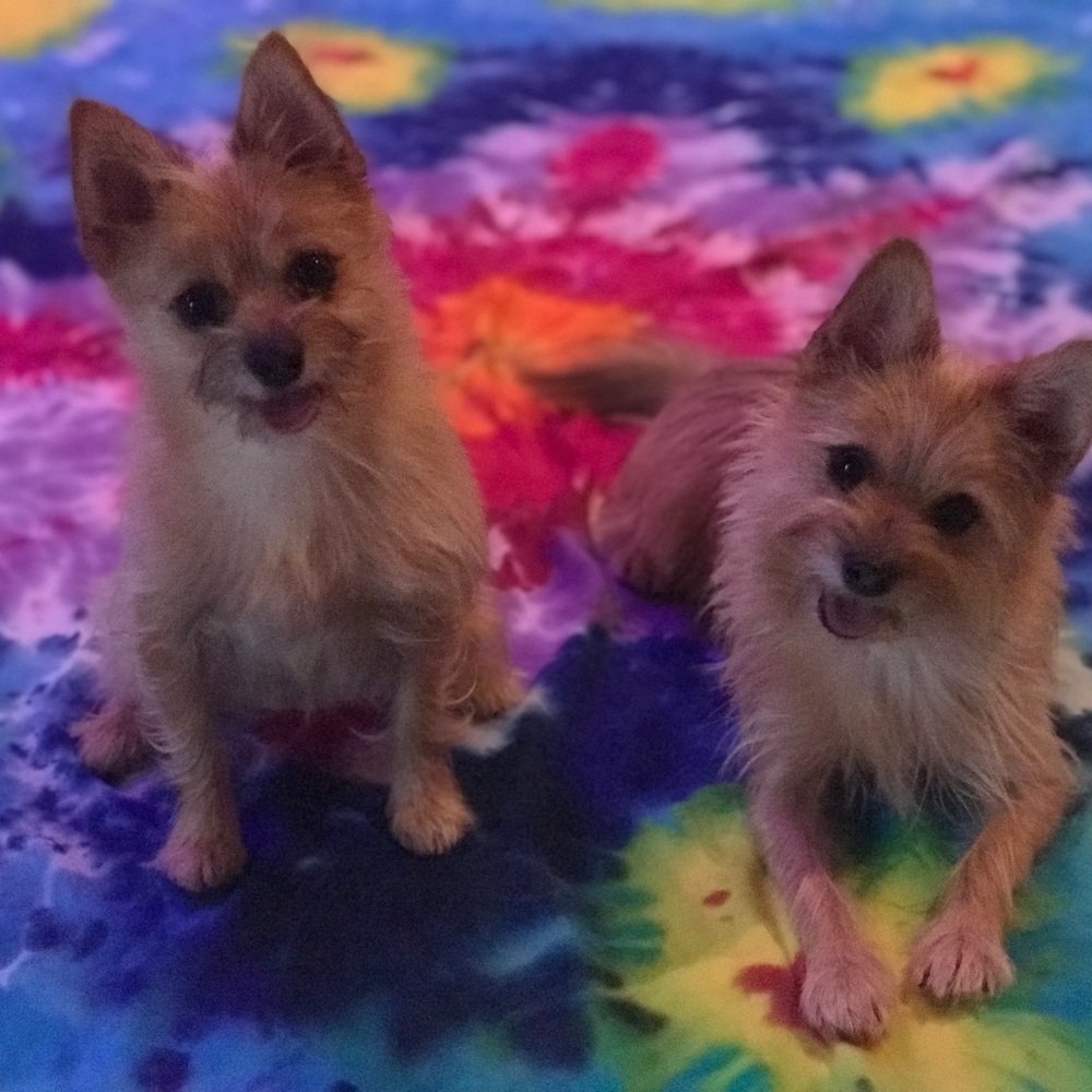 Meet your Posher, Natty Jay